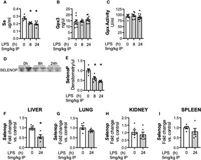 Hepatic-Specific Decrease in the Expression of Selenoenzymes and Factors Essential for Selenium Processing After Endotoxemia